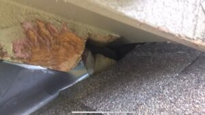 How Do I Get Rodents Out Of My Attic Katy,Tx?